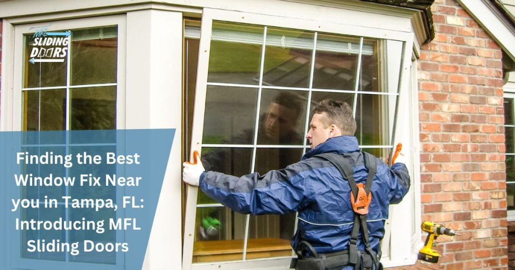Pocket_Privacy_doors-systems